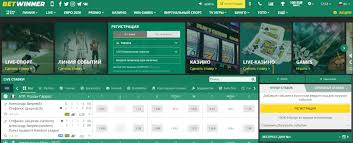 BetWinner Betting Guide Tips and Strategies for Success
